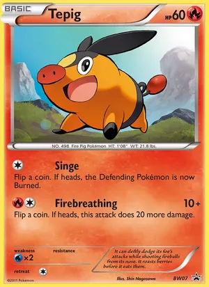 Tepig #BW07, BW Black Star Holo, TCGdex reference