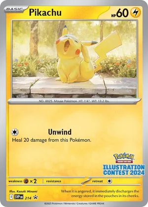 Pikachu #214, English SVP Black Star Promos promo, reference image